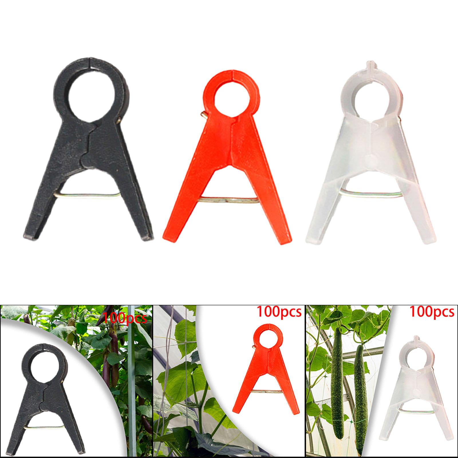 مشابك دعم نباتات الحدائق ونبات - مراجعة Vine Climbing Plastic وسعره