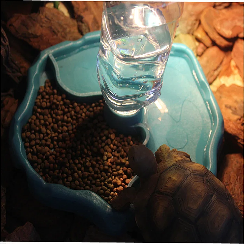 موزع طعام وماء أوتوماتيكي 2 في - مراجعة Water Dish Reptile وسعره