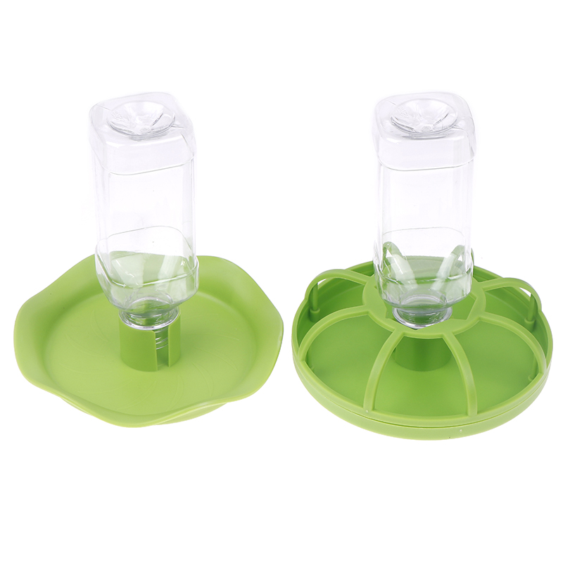 وعاء ماء للزواحف، موزع طعام، و - مراجعة Water Dish Reptile وسعره