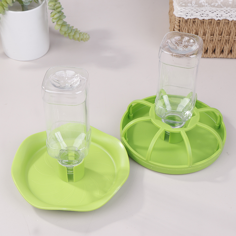 وعاء ماء للزواحف، موزع طعام، و - مراجعة Water Dish Reptile وسعره