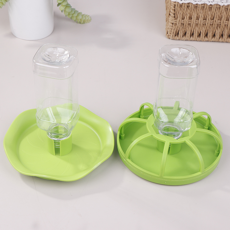 وعاء ماء للزواحف، موزع طعام، و - مراجعة Water Dish Reptile وسعره