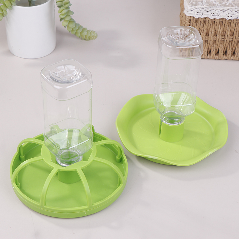 وعاء ماء للزواحف، موزع طعام، و - مراجعة Water Dish Reptile وسعره