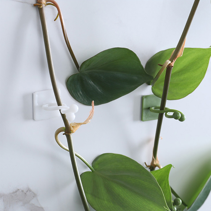 100 قطعة-منزل حديقة النبات تسل - مراجعة Vine Climbing Plastic وسعره