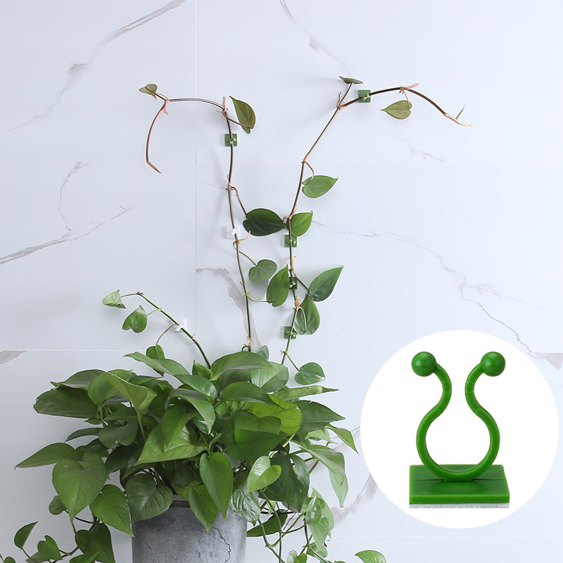100 قطعة-منزل حديقة النبات تسل - مراجعة Vine Climbing Plastic وسعره