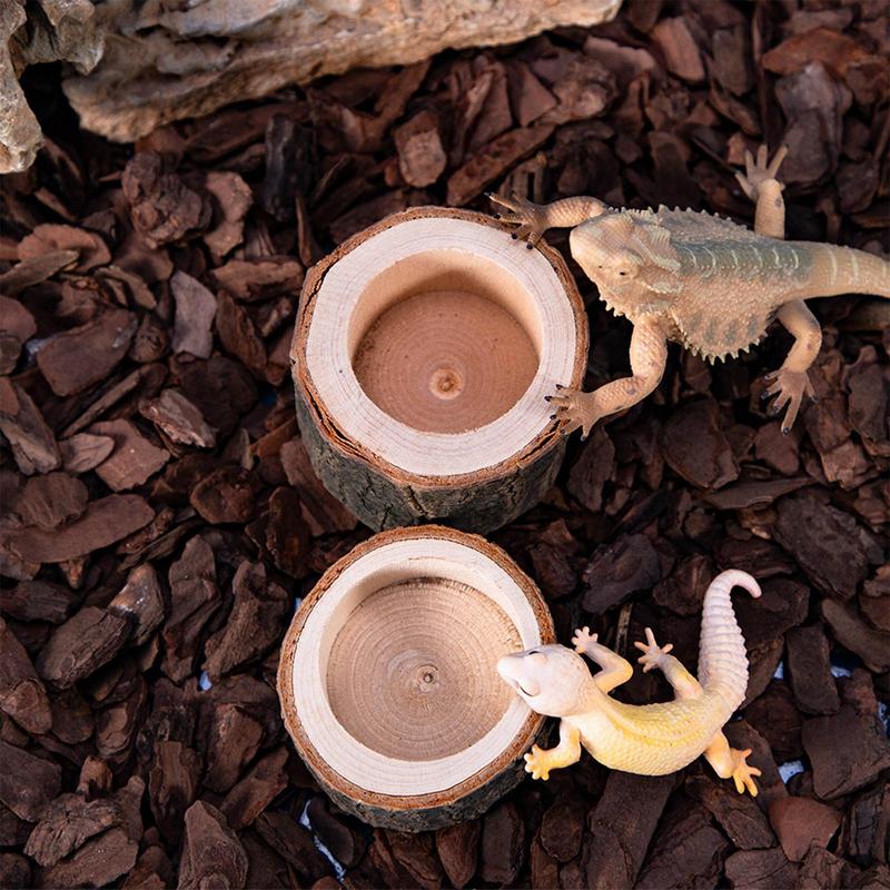 طبق ماء السلحفاة طبق تغذية الز - مراجعة Water Dish Reptile وسعره