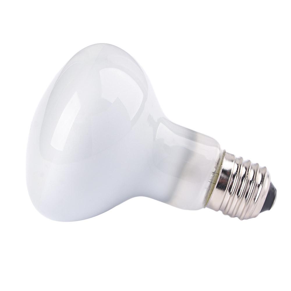 جهاز تحكم في درجة حرارة السلاح - مراجعة Basking Bulb Halogen وسعره