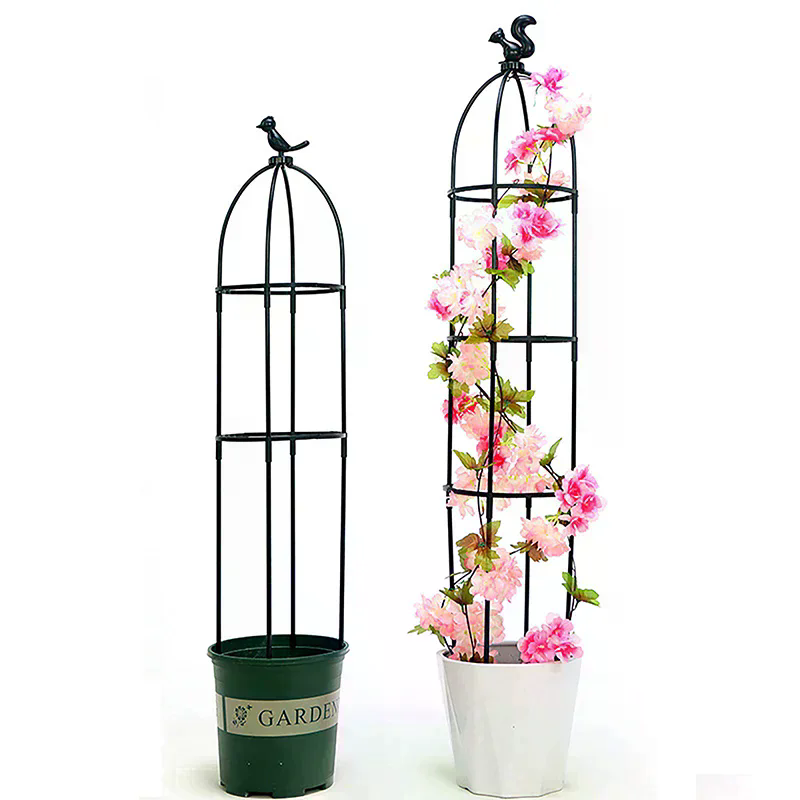 طقم واحد من أقفاص دعم النباتات - مراجعة Vine Climbing Plastic وسعره
