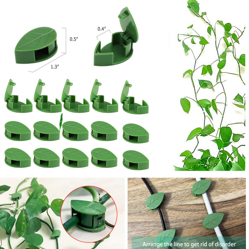 نبات غير مرئي تسلق تركيبات الح - مراجعة Vine Climbing Plastic وسعره