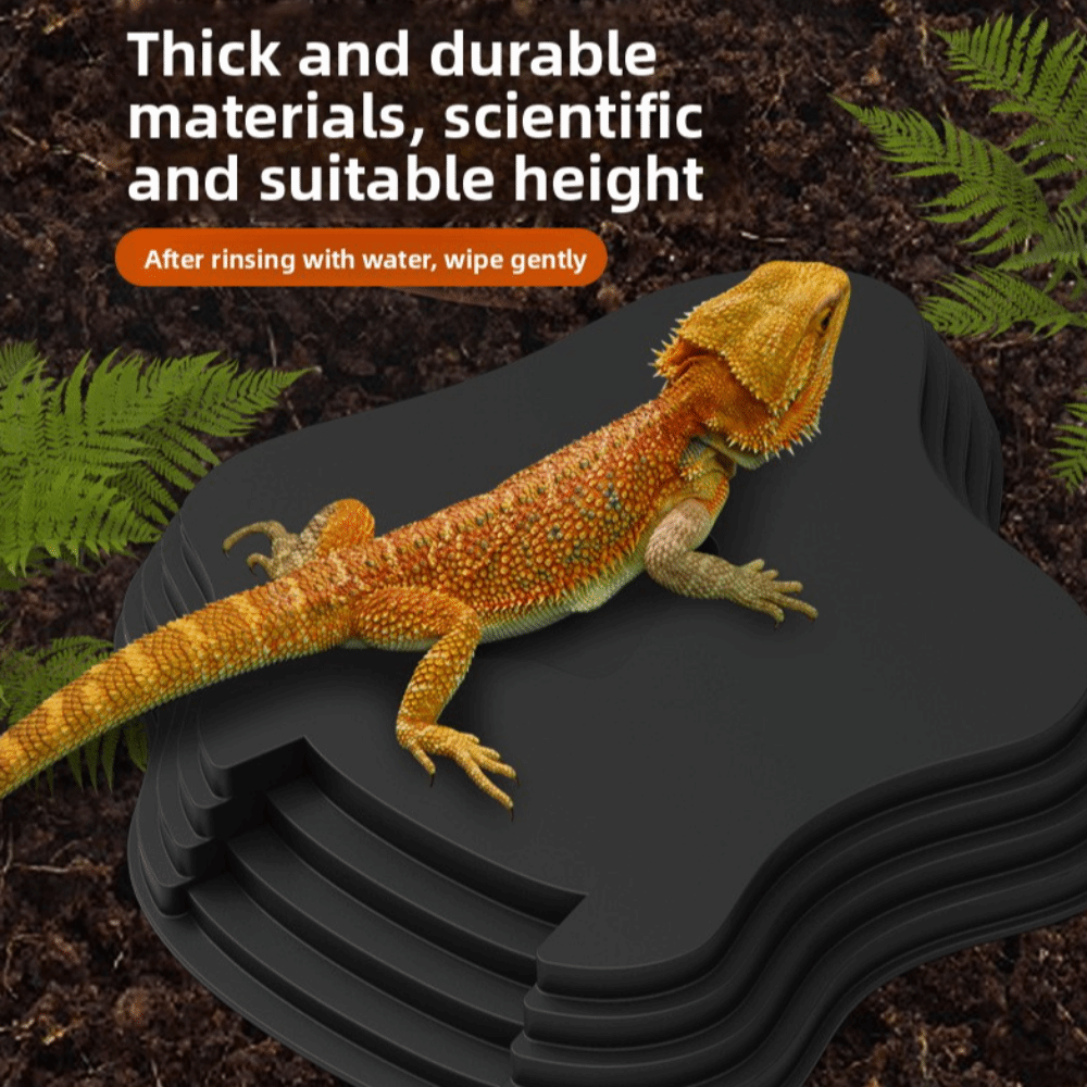 جديد حوض مياه السلحفاة البلاست - مراجعة Water Dish Reptile وسعره