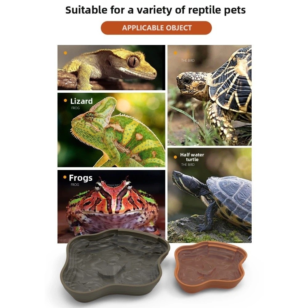 جديد حوض مياه السلحفاة البلاست - مراجعة Water Dish Reptile وسعره