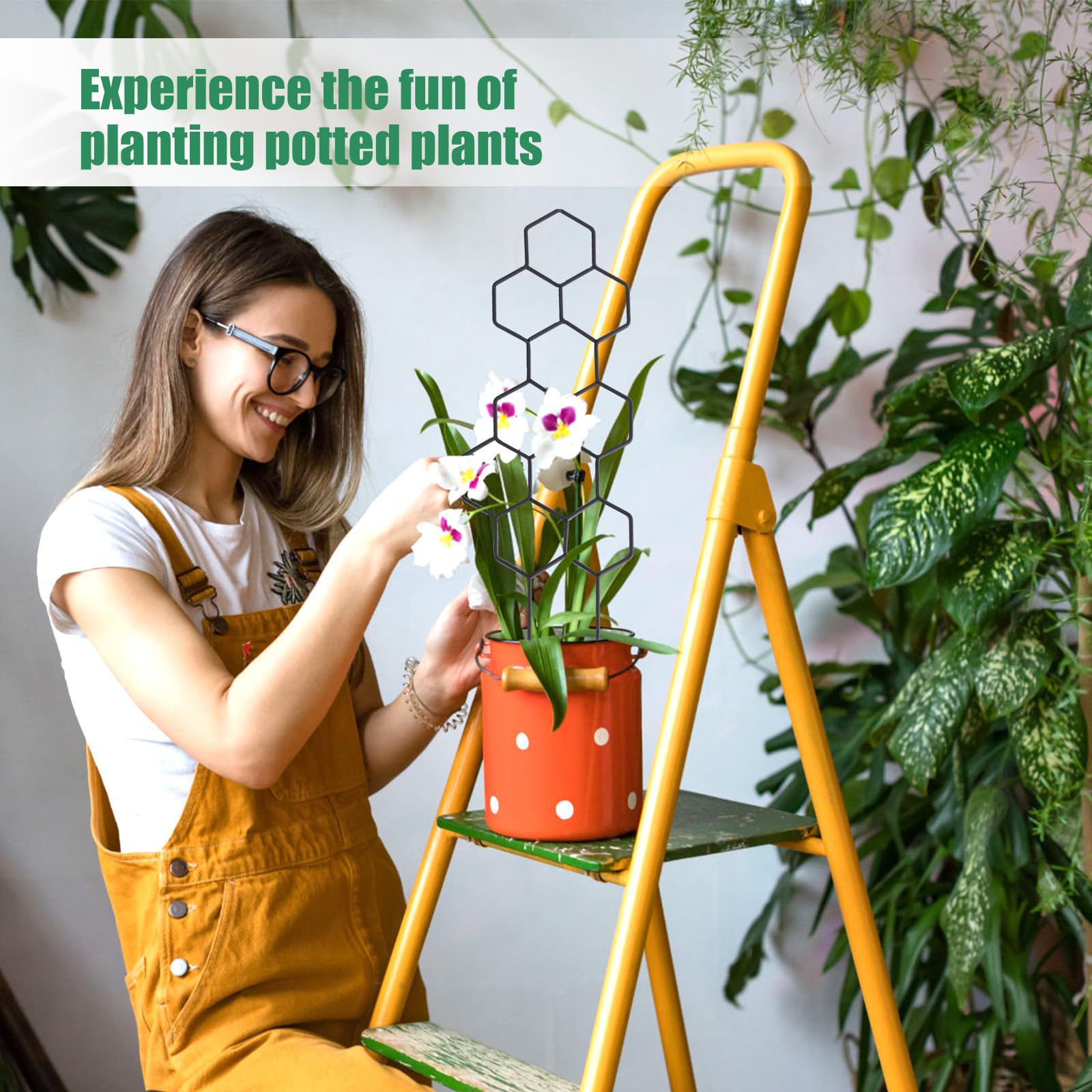 دعامة نباتات بتصميم خلية النحل - مراجعة Vine Climbing Plastic وسعره
