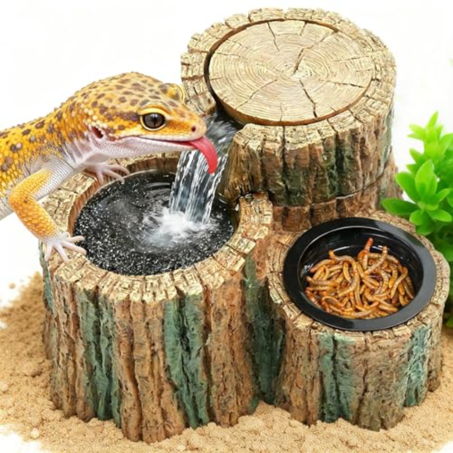 نافورة مياه للزواحف 2 في 1 مع  - مراجعة Water Dish Reptile وسعره