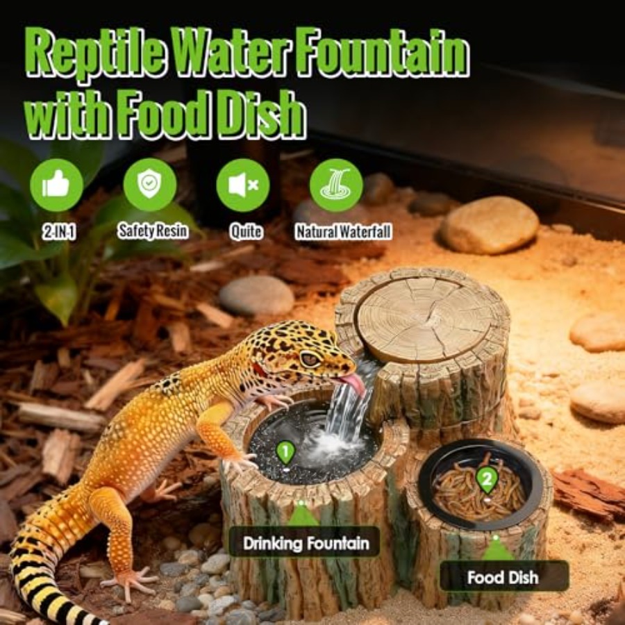 نافورة مياه للزواحف 2 في 1 مع  - مراجعة Water Dish Reptile وسعره