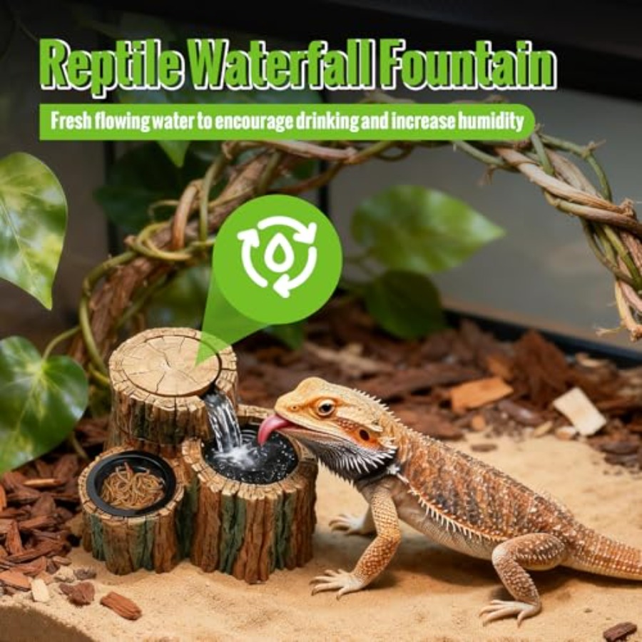 نافورة مياه للزواحف 2 في 1 مع  - مراجعة Water Dish Reptile وسعره