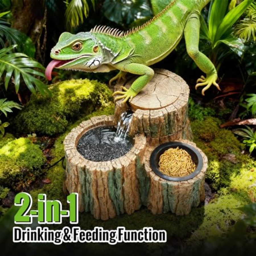 نافورة مياه للزواحف 2 في 1 مع  - مراجعة Water Dish Reptile وسعره