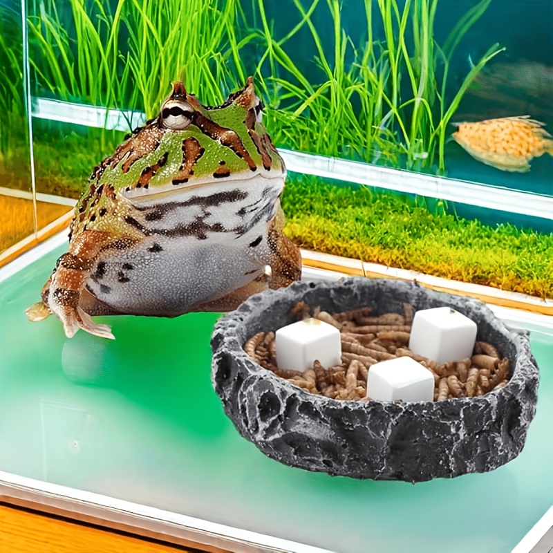 6 قطعة خزان الأسماك كتلة الكال - مراجعة Calcium Powder Reptile وسعره