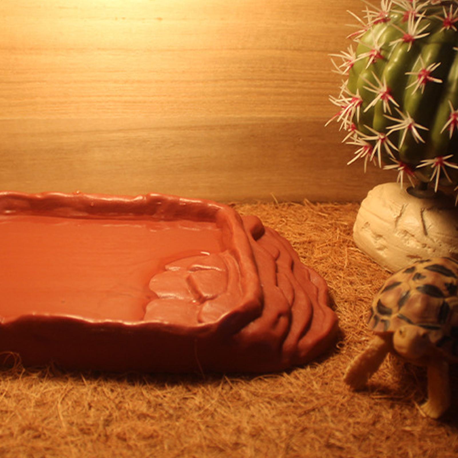 حوض استحمام للسلاحف، وعاء ماء، - مراجعة Water Dish Reptile وسعره