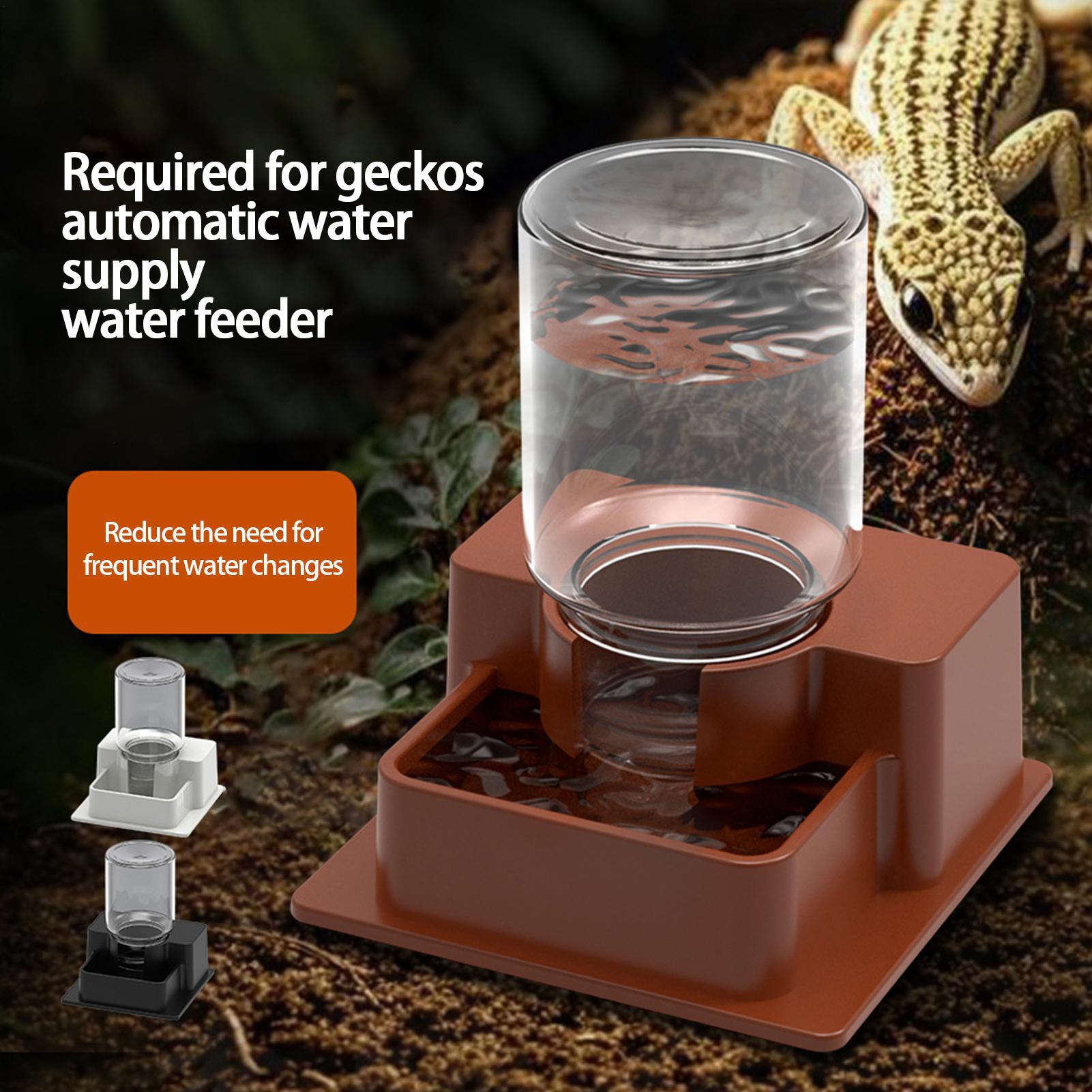 وعاء تغذية الزواحف الأوتوماتيك - مراجعة Water Dish Reptile وسعره