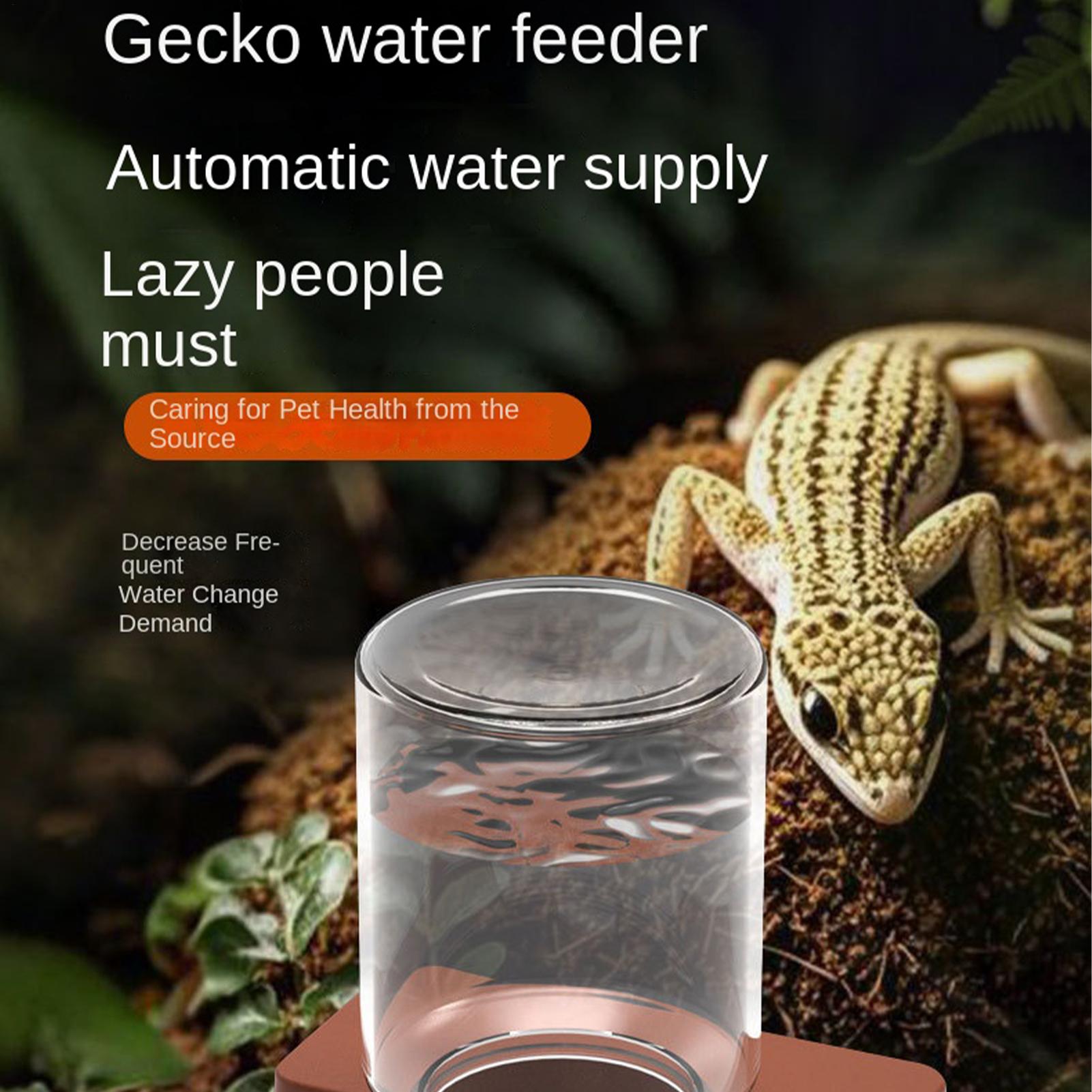 وعاء تغذية الزواحف الأوتوماتيك - مراجعة Water Dish Reptile وسعره