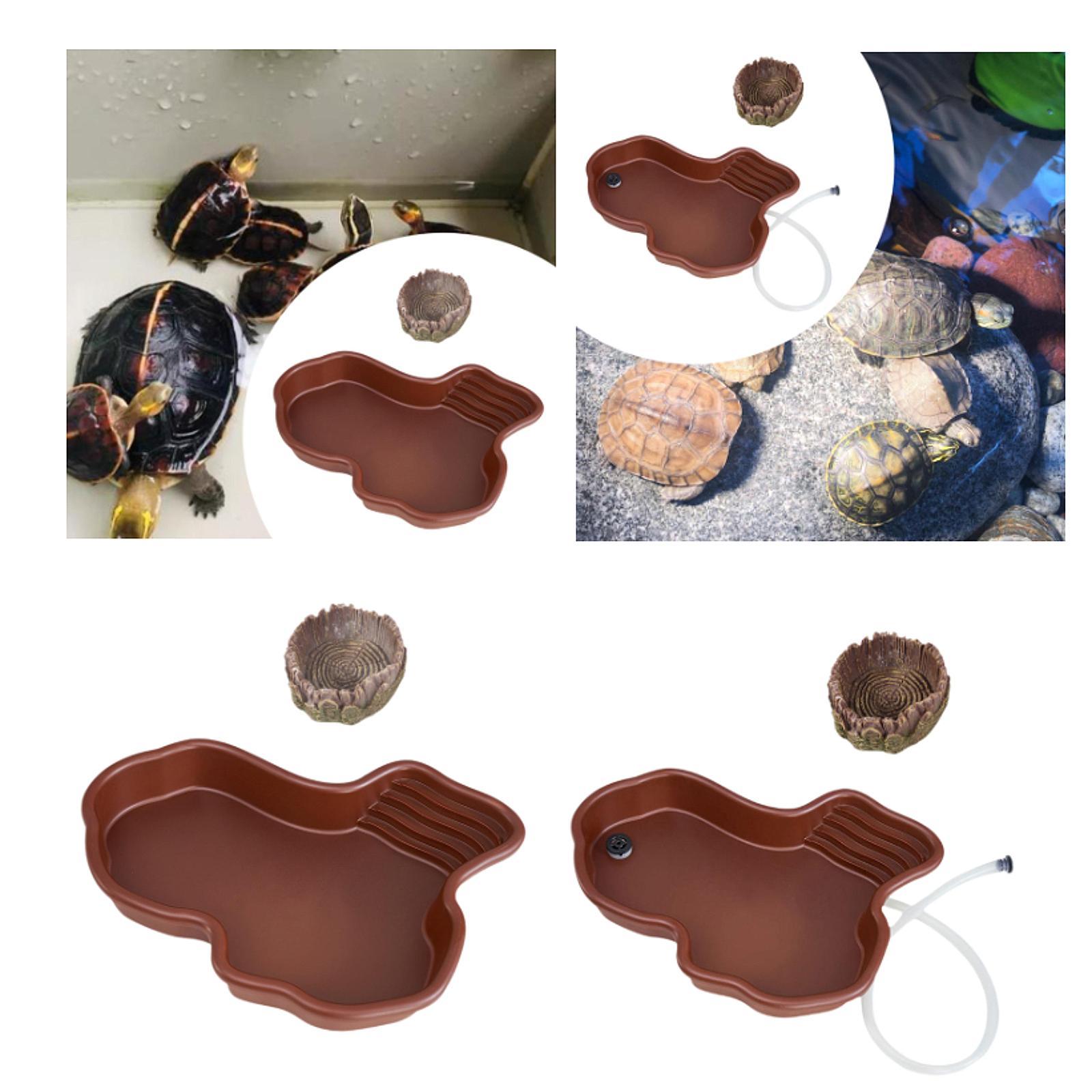 طبق تغذية الزواحف، حمام سباحة  - مراجعة Water Dish Reptile وسعره